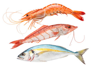 Shrimp isolated on white background single tasty cookery  snack prawn crawfish  freshwater  fin shellfish pike nature  