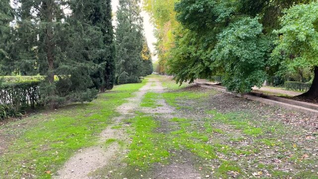 a dirt path in the garden where on one side there is a row of cypresses and on the other side large specimens of Liquidanbar and Platanus hispanica, next to them there is a brick irrigation canal