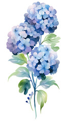 Fototapeta premium Digital vintage hydrangea floral bouquet abstract graphic poster background