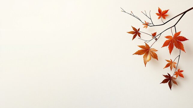 Autumnal branch with red maple leaves on white background.