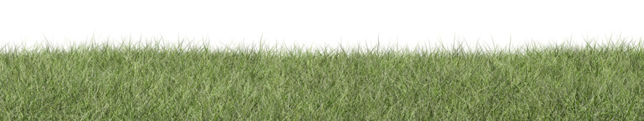 green grass isolated on white background