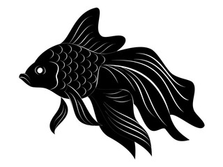 very beautiful koi carp silhouette