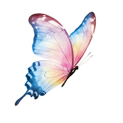 Fototapeta premium Pastel Watercolor Butterfly Soft Pink Blue Wings Flight Nature art fauna macro image insect design 