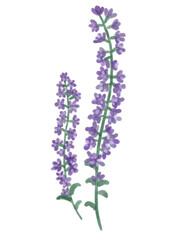 Obraz premium Many kinds of flowers with minimal relaxing styles 