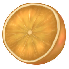 Fresh slice of lemon type s12