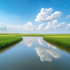 Serene Marsh Landscape with Cloud Reflections