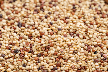 Mixed red, white and black quinoa as an abstract background texture. Close-up of mixed quinoa grains, showcasing white, red, and black seeds, perfect for health, nutrition, and food-related concepts.