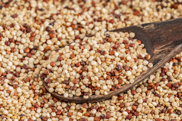 Close-up of mixed quinoa grains in a wooden spoon, featuring red, white, and black seeds. Perfect for healthy food and organic nutrition concepts.