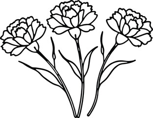 Elegant Carnation Line Art with Leaves and Buds in Black and White Vector Design