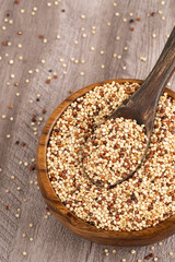 Mix of white, red and black quinoa seeds - Chenopodium quinoa. Top view of a wooden bowl filled with mixed quinoa grains and a wooden spoon, featuring white, red, and black quinoa, perfect for health 