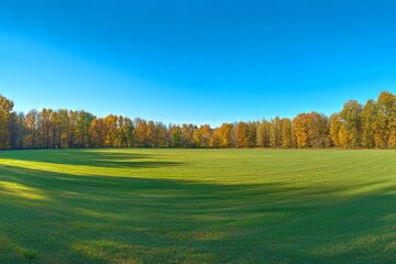 Fototapeta premium Stunning autumn landscape featuring golden trees, grassy meadow, and blue sky in fall season