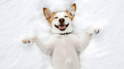 A joyful dog lies in fresh snow, grinning with happiness, embodying pure delight and playfulness in a winter wonderland.