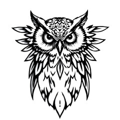 Obraz premium owl isolated on white