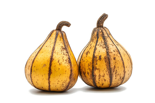 Guajes Jicaras from the calabash tree