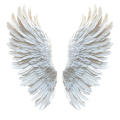 Obraz premium Cygnet Wings with Fluffy Feathers Representing Spirituality and Peace Isolated on White Background 