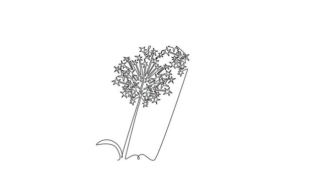 Animated self drawing of continuous line draw beauty fresh allium globemaster for home art wall decor poster. Decorative giant onion flower concept for greeting card. Full length single line animation