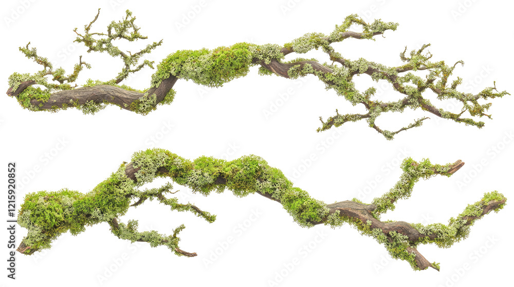 Poster unique moss covered branches on transparent background generative ai