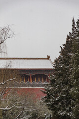 Forbidden city in snow of Donghua Gate