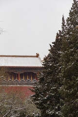Forbidden city in snow of Donghua Gate