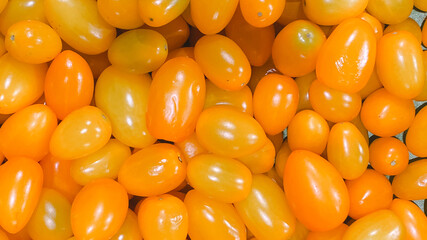 Plum tomatoes are brightly colored and juicy.Background concept,