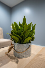A lush green plant in a rustic metal pot, accented with a simple rope handle, sits on a light wood...