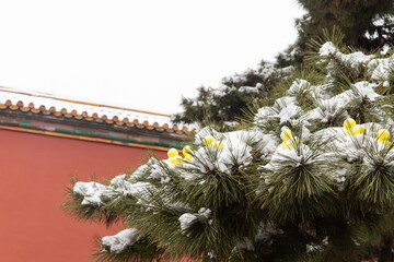 snowman shaped like  little yellow duck