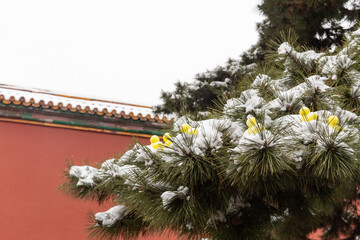 snowman shaped like  little yellow duck