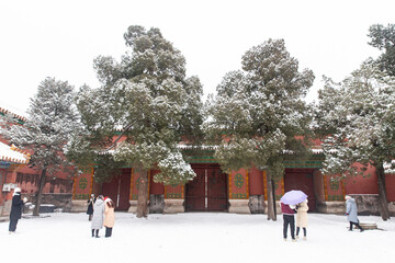tourist visit Forbidden city in winter under snow