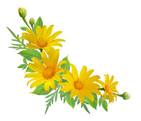 Mexican sunflower floral bouquet border, wreath, frame isolated on transparent background