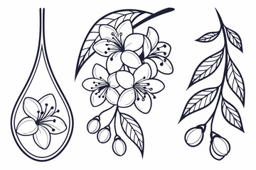 hand drawn flowers vector