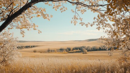 Obraz premium Serene Autumnal Landscape: Golden Fields Under a Pale Sky