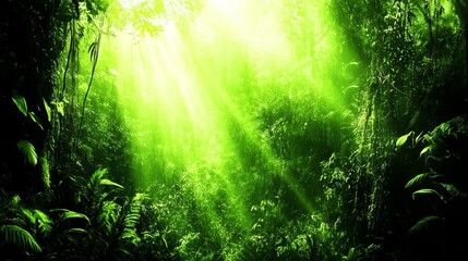 Fototapeta premium Sunbeams Illuminate Lush Green Rainforest Canopy (1)