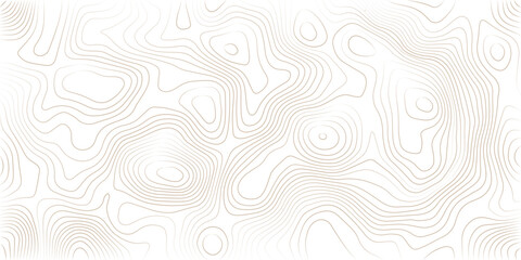Fototapeta premium Abstract lines background. Contour maps. Topo contour map on white background. Abstract background with waves Geographic mountain relief.