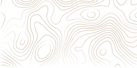 Abstract lines background. Contour maps. Topo contour map on white background. Abstract background with waves Geographic mountain relief.