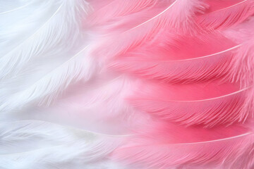 Obraz premium Pink and White Feather Abstract Background