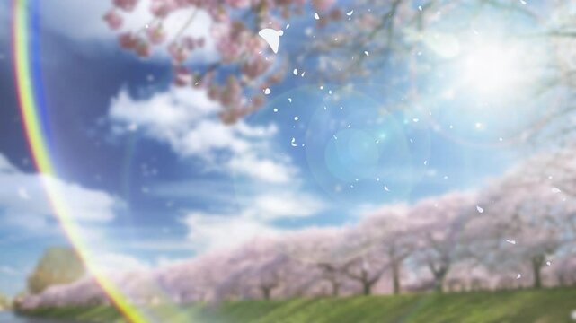 日本の春・桜並木の川の土手 風に舞い散る花びら花吹雪　美しい満開の桜に青空とさわやかな雲・水面に映りこむ反射した景色の背景　入学・卒業・入社・新生活・花見・はじまり・希望のイメージ壁紙