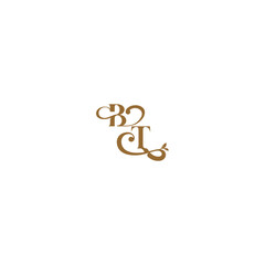 monogram wedding concept initial leaf line BT modern organic logo letter