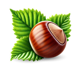 Vector illustration of Hazelnut with leaves isolated on white background.