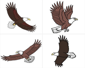 Majestic Bald Eagle in Flight ,majestic eagle Set