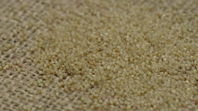 barnyard millet grains falling on textured jute cloth, 4k stable shot