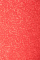 Close-up of red leather show detail and texture