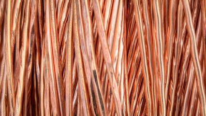Aligned copper wires displaying consistent patterns and detailed textures in a parallel arrangement.
