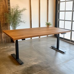 Modern Adjustable Height Standing Desk with Wooden Top