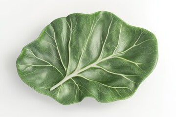 Obraz premium A single large green leaf isolated on white