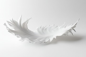 Obraz premium A single white feather floats gently on a white background