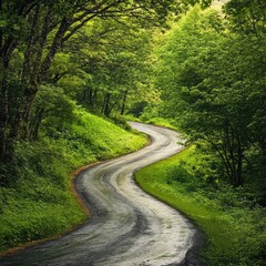 Through the Green Heart: A Scenic Forest Road Amidst Vibrant Trees and Vegetation