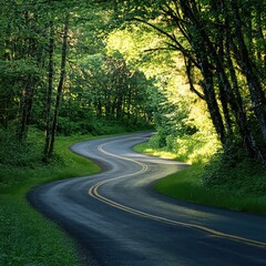 Obraz premium A Journey Through Nature: A Paved Road Surrounded by Lush Trees and Vibrant Growth