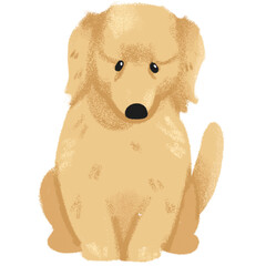 Obraz premium Pets