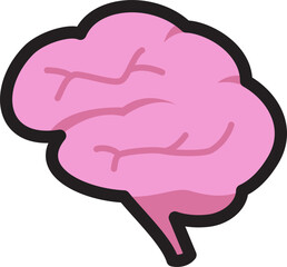 Brain