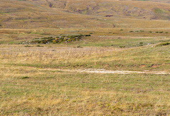 outdoor walks in a nature park with an overview of the area